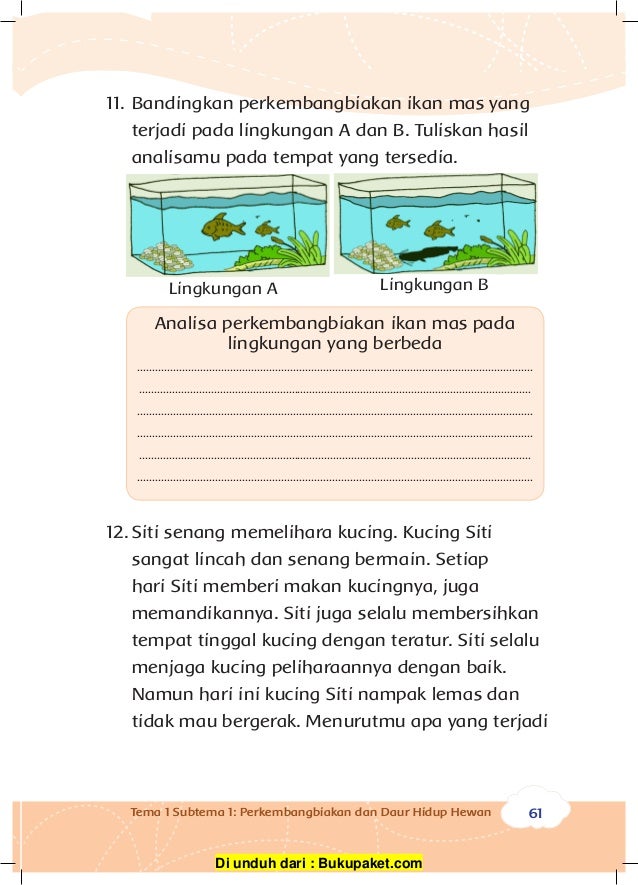 81+ Gambar Perkembangbiakan Hewan Kucing Gratis Terbaik