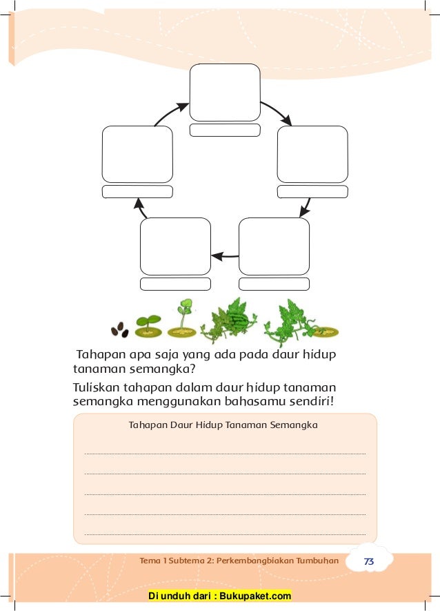 Kelas iii tema 1 perkembangbiakan hewan dan tumbuhan Kelas iii tema 1 perkembangbiakan hewan dan tumbuhan