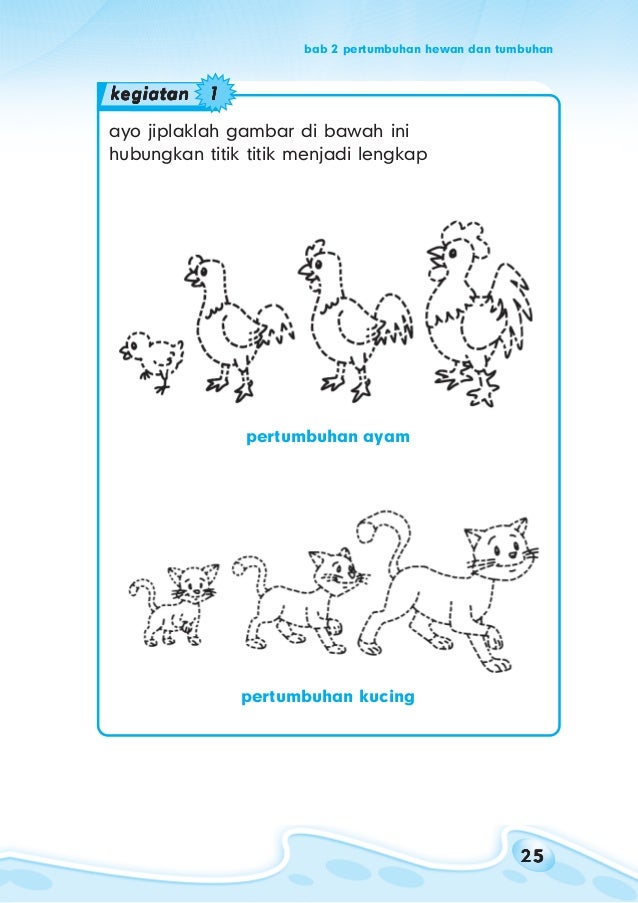 80 Gambar Hitam Putih Hewan Dan Tumbuhan HD Terbaru