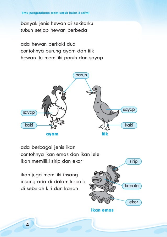 Kelas ii sd ipa erni zebua