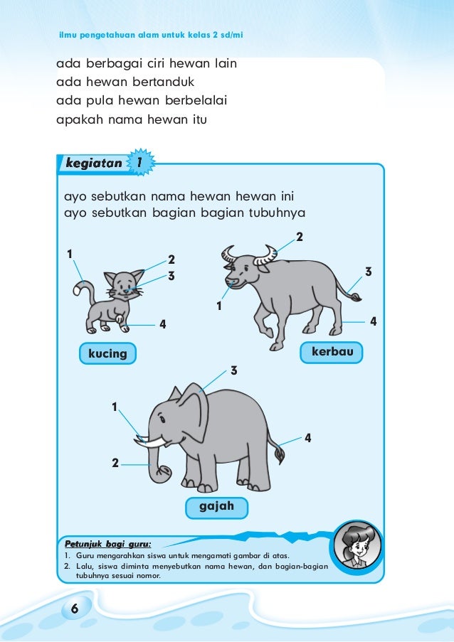 Unduh 61+ Gambar Gajah Untuk Sd Terbaik Gratis