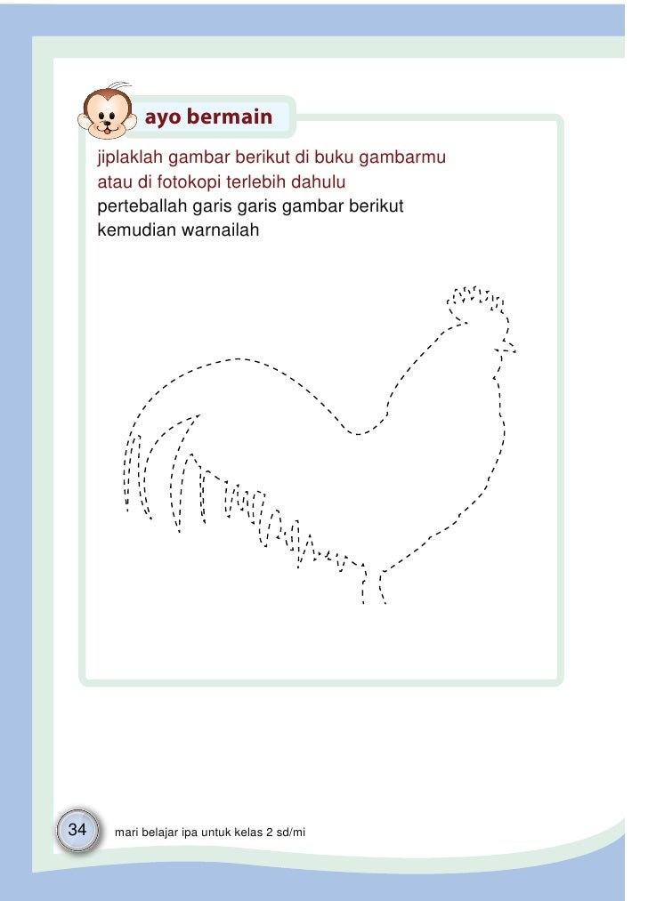 Kelas ii sd ipa_syaeful anwar