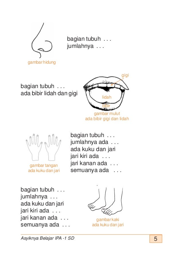 Kelas 1 sd ipa