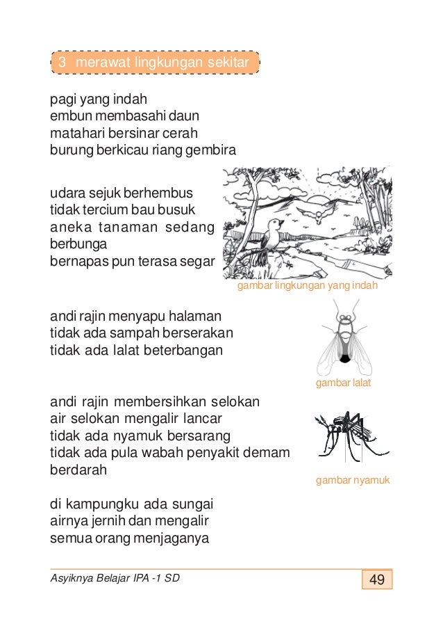 Gambar Kucing Kurus Gambar V Gambar Kucing Kurus Gambar V