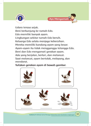 Udara terasa sejuk.
Beni berkunjung ke rumah Edo.
Edo memiliki banyak ayam.
Lingkungan sekitar rumah Edo bersih.
Keluarga Edo selalu menjaga kebersihan.
Mereka memiliki kandang ayam yang besar.
Ayam-ayam itu tidak mengganggu tetangga Edo.
Beni dan Edo mengamati gerakan ayam.
Ada yang berjalan, berlari, dan meloncat.
Saat meloncat, ayam bertolak, melayang, dan
mendarat.
Tuliskan gerakan ayam di bawah gambar.
121Subtema 4: Bekerja Sama Menjaga Kebersihan dan Kesehatan Lingkungan
 