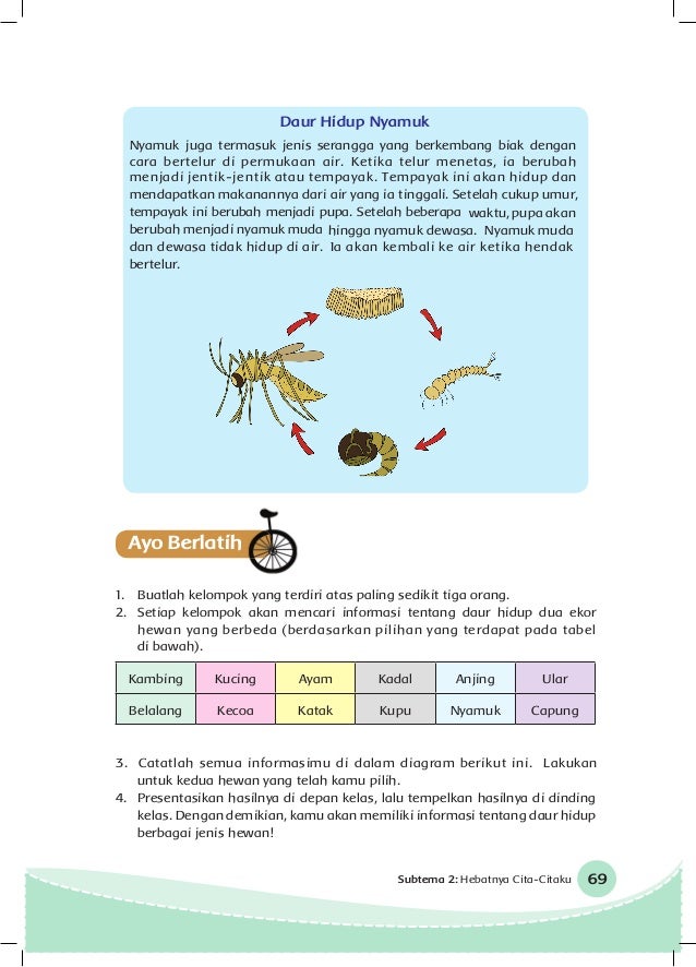 Kelas Iv Tema 6 Bs Ayomadrasah 2017