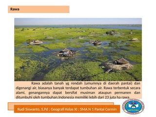 Rudi Siswanto, S.Pd ; Geografi Kelas XI ; SMA N 1 Pantai Cermin
Rawa
Rawa adalah tanah yg rendah (umumnya di daerah pantai) dan
digenangi air, biasanya banyak terdapat tumbuhan air. Rawa terbentuk secara
alami, genangannya dapat bersifat musiman ataupun permanen dan
ditumbuhi oleh tumbuhan.Indonesia memiliki lebih dari 23 juta ha rawa.
 