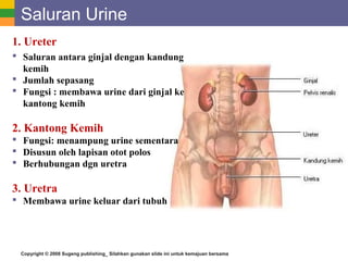 Copyright © 2008 Sugeng publishing_ Silahkan gunakan slide ini untuk kemajuan bersama
Saluran Urine
1. Ureter
 Saluran antara ginjal dengan kandung
kemih
 Jumlah sepasang
 Fungsi : membawa urine dari ginjal ke
kantong kemih
2. Kantong Kemih
 Fungsi: menampung urine sementara
 Disusun oleh lapisan otot polos
 Berhubungan dgn uretra
3. Uretra
 Membawa urine keluar dari tubuh
 