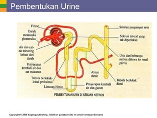 Copyright © 2008 Sugeng publishing_ Silahkan gunakan slide ini untuk kemajuan bersama
Pembentukan Urine
 