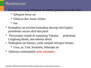 Copyright © 2008 Sugeng publishing_ Silahkan gunakan slide ini untuk kemajuan bersama
ReabsorpsiReabsorpsi
 Urin primer yang terbentuk di tubulus proksimal terdiri dari :
 Sebagian besar air
 Glukosa dan Asam Amino
 Ion
 Kemudian zat tersebut kemudian diserap oleh kapiler
peritubuler secara aktif dan pasif.
 Penyerapan terjadi di sepanjang Tubulus proksimal,
Lengkung Henle, dan tubulus distal.
• Sedangkan zat lainnya, yaitu sampah nitrogen berupa :
 Urea, as. Urat, kreatinin, beberapa air
 Akhirnya terbentuklah urin sekunder.
 