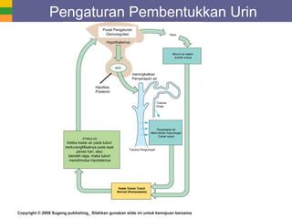 Copyright © 2008 Sugeng publishing_ Silahkan gunakan slide ini untuk kemajuan bersama
Pengaturan Pembentukkan Urin
Pusat Pengaturan
Osmoregulasi
Minum air dalam
Jumlah cukup
Penyerapan air
Memulihkan kekurangan
Cairan tubuh
STIMULUS:
Ketika kadar air pada tubuh
berkurangMisalnya pada saat
panas hari, atau
berolah raga, maka tubuh
menstimulus hipotalamus
Kadar Cairan Tubuh
Normal (Homeostasis)
Hypothalamus
ADH
Hipofisis
Posterior
meningkatkan
Penyerapan air
Haus
Tubulus Pengumpult
Tubulus
Ginjal
 