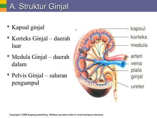 Copyright © 2008 Sugeng publishing_ Silahkan gunakan slide ini untuk kemajuan bersama
A. Struktur GinjalA. Struktur Ginjal
 Kapsul ginjal
 Korteks Ginjal – daerah
luar
 Medula Ginjal – daerah
dalam
 Pelvis Ginjal – saluran
pengumpul
 