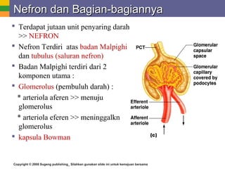 Copyright © 2008 Sugeng publishing_ Silahkan gunakan slide ini untuk kemajuan bersama
Nefron dan Bagian-bagiannyaNefron dan Bagian-bagiannya
 Terdapat jutaan unit penyaring darah
>> NEFRON
 Nefron Terdiri atas badan Malpighi
dan tubulus (saluran nefron)
 Badan Malpighi terdiri dari 2
komponen utama :
 Glomerolus (pembuluh darah) :
* arteriola aferen >> menuju
glomerolus
* arteriola eferen >> meninggalkn
glomerolus
 kapsula Bowman
 