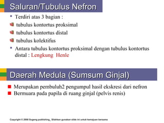 Copyright © 2008 Sugeng publishing_ Silahkan gunakan slide ini untuk kemajuan bersama
Saluran/Saluran/TubulusTubulus NefronNefron
 Terdiri atas 3 bagian :
tubulus kontortus proksimal
tubulus kontortus distal
tubulus kolektifus
 Antara tubulus kontortus proksimal dengan tubulus kontortus
distal : Lengkung Henle
Daerah Medula (Sumsum Ginjal)Daerah Medula (Sumsum Ginjal)
Merupakan pembuluh2 pengumpul hasil ekskresi dari nefron
Bermuara pada papila di ruang ginjal (pelvis renis)
 