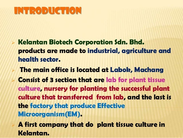 Kelantan Biotech Corporation SDN.BHD-tissue culture