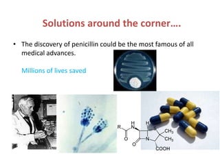 Enhancing the value of genetic resources through science & technology: The role of the BecA Hub