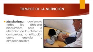 TIEMPOS DE LA NUTRICIÓN
 Metabolismo: contempla
todos los procesos
bioquímicos para la
utilización de los alimentos
consumidos, la utilización
como energía y
almacenamiento.
 