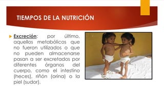 TIEMPOS DE LA NUTRICIÓN
 Excreción: por último,
aquellos metabólicos que
no fueron utilizados o que
no pueden almacenarse
pasan a ser excretados por
diferentes órganos del
cuerpo, como el intestino
(heces), riñón (orina) o la
piel (sudor).
 