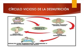 CÍRCULO VICIOSO DE LA DESNUTRICIÓN
 