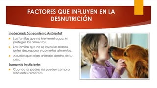 FACTORES QUE INFLUYEN EN LA
DESNUTRICIÓN
Inadecuado Saneamiento Ambiental:
 Las familias que no hierven el agua; ni
protegen los alimentos.
 Las familias que no se lavan las manos
antes de preparar y comer los alimentos.
 Aquellos que crían animales dentro de su
casa.
Economía insuficiente:
 Cuando los padres no pueden comprar
suficientes alimentos.
 