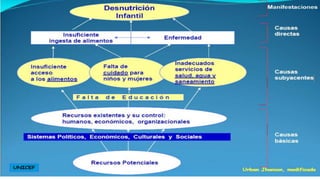 MARCO CONCEPTUAL DE LA DESNUTRICIÓN INFANTIL
 