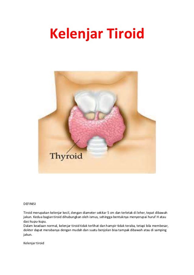  Kelenjar tiroid 