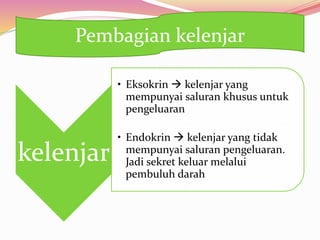 kelenjar
• Eksokrin  kelenjar yang
mempunyai saluran khusus untuk
pengeluaran
• Endokrin  kelenjar yang tidak
mempunyai saluran pengeluaran.
Jadi sekret keluar melalui
pembuluh darah
Pembagian kelenjar
 
