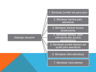 Kelenjar eksokrin
1. Berdasar jumlah sel penyusun
2. Berdasar bentuk pars
sekretoria
3. Berdasar bentuk ductus
eksekretoria
4. Berdasar bentuk pars
sekretoria dan ductus
eksrekretoria
5. Berdasar jumlah lapisan sel
epitel pars sekretoria
6. Berdasar sifat sekretnya
7. Berdasar cara sekresi
 