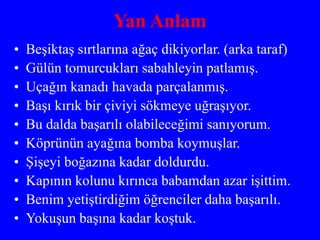 Yan Anlam
• Beşiktaş sırtlarına ağaç dikiyorlar. (arka taraf)
• Gülün tomurcukları sabahleyin patlamış.
• Uçağın kanadı havada parçalanmış.
• Başı kırık bir çiviyi sökmeye uğraşıyor.
• Bu dalda başarılı olabileceğimi sanıyorum.
• Köprünün ayağına bomba koymuşlar.
• Şişeyi boğazına kadar doldurdu.
• Kapının kolunu kırınca babamdan azar işittim.
• Benim yetiştirdiğim öğrenciler daha başarılı.
• Yokuşun başına kadar koştuk.
 