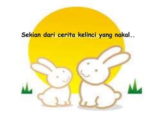 Sekian dari cerita kelinci yang nakal..
 