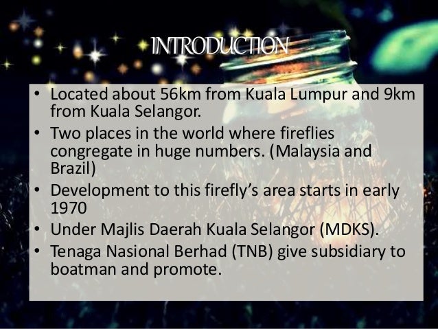 KELIP KELIP KG KUANTAN KELIP KELIP KG KUANTAN