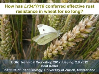 How has Lr34/Yr18 conferred effective rust
    resistance in wheat for so long?




      BGRI Technical Workshop 2012, Beijing, 2.9.2012
                         Beat Keller
Institute of Plant Biology, University of Zurich, Switzerland
 