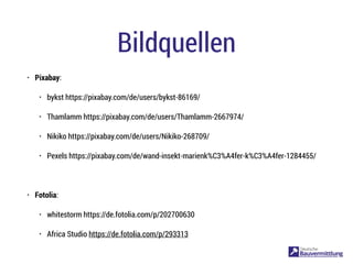 Bildquellen
• Pixabay:
• bykst https://pixabay.com/de/users/bykst-86169/
• Thamlamm https://pixabay.com/de/users/Thamlamm-2667974/
• Nikiko https://pixabay.com/de/users/Nikiko-268709/
• Pexels https://pixabay.com/de/wand-insekt-marienk%C3%A4fer-k%C3%A4fer-1284455/
• Fotolia:
• whitestorm https://de.fotolia.com/p/202700630
• Africa Studio https://de.fotolia.com/p/293313
 
