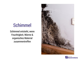 Schimmel
Schimmel entsteht, wenn
Feuchtigkeit, Wärme &
organisches Material
zusammentreffen
 