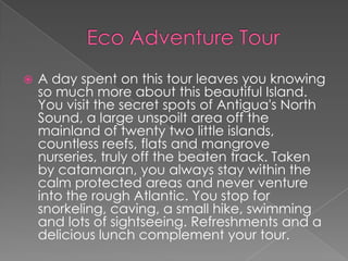  A day spent on this tour leaves you knowing
so much more about this beautiful Island.
You visit the secret spots of Antigua's North
Sound, a large unspoilt area off the
mainland of twenty two little islands,
countless reefs, flats and mangrove
nurseries, truly off the beaten track. Taken
by catamaran, you always stay within the
calm protected areas and never venture
into the rough Atlantic. You stop for
snorkeling, caving, a small hike, swimming
and lots of sightseeing. Refreshments and a
delicious lunch complement your tour.
 