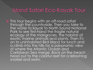  This tour begins with an off-road safari
through the countryside. Then you take to
the water to kayak to North Sound National
Park to see first-hand the fragile natural
ecology of the mangroves, the habitat of
exotic marine animals and plants. Then it's
on to uninhabited Bird Island for lunch and
a climb into the hills for a panoramic view
of where the Atlantic Ocean and
Caribbean Sea merge. Back on the beach
head out to the colorful reef for a refreshing
snorkel and swim.
 