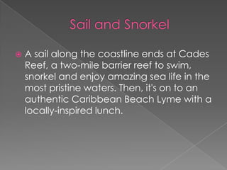  A sail along the coastline ends at Cades
Reef, a two-mile barrier reef to swim,
snorkel and enjoy amazing sea life in the
most pristine waters. Then, it's on to an
authentic Caribbean Beach Lyme with a
locally-inspired lunch.
 