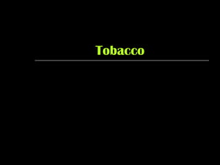 TobaccoTobacco
 