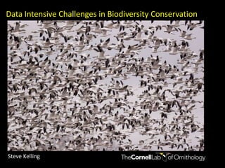 Data Intensive Challenges in Biodiversity Conservation Steve Kelling 