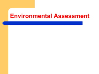 Environmental Assessment 