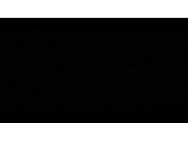 The Importance of Brand Purpose