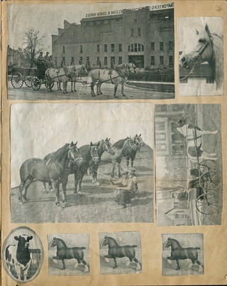 William Kelly's Scrapbook | PDF