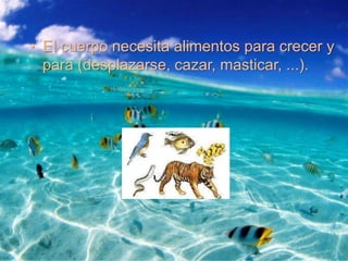 • El cuerpo necesita alimentos para crecer y
  para (desplazarse, cazar, masticar, ...).
 