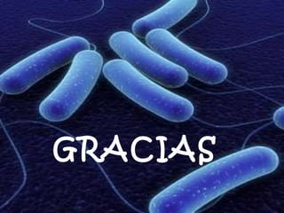 GRACIAS 