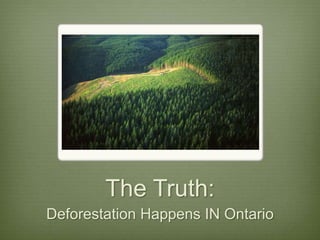 The Truth:
Deforestation Happens IN Ontario
 