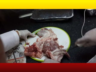 LABORATORIO DE HISTOLOGÍA 