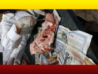 LABORATORIO DE HISTOLOGÍA 