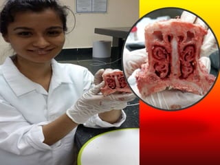 LABORATORIO DE HISTOLOGÍA 