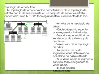 Topología de Árbol / Tree
La topología de árbol combina características de la topología de
estrella con la de bus. Consiste en un conjunto de subredes estrella
conectadas a un bus. Esta topología facilita el crecimiento de la red.
Ventajas de la topología de
árbol:
· Cableado punto a punto
para segmentos individuales.
· Soportado por multitud de
vendedores de software y de
hardware.
Desventajas de la topología
de árbol:
· La medida de cada
segmento viene determinada
por el tipo de cable utilizado.
· Si se viene abajo el segmento
principal todo el segmento se
viene abajo.
· Es más difícil la
configuración.
 
