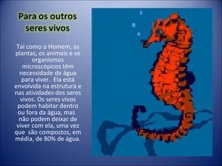 Tal como o Homem, as plantas, os animais e os organismos microscópicos têm necessidade de água para viver.  Ela está envolvida na estrutura e nas atividades dos seres vivos. Os seres vivos podem habitar dentro ou fora da água, mas   não podem deixar de viver com ela, uma vez que  são compostos, em média, de 80% de água. 
